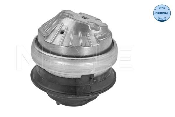 MEYLE 014 024 0161 - Lagerung, Motor