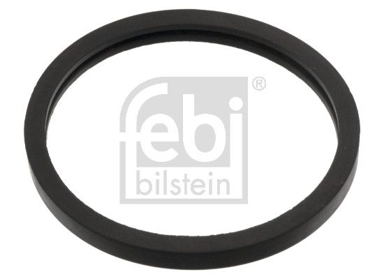 FEBI BILSTEIN 05156 - Dichtung, Thermostat