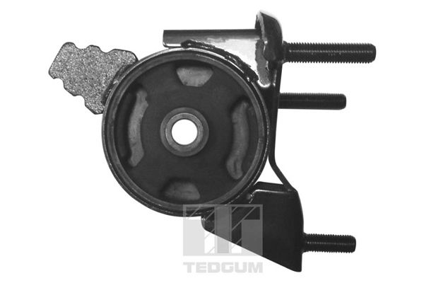 TEDGUM 00671780 - Lagerung, Motor