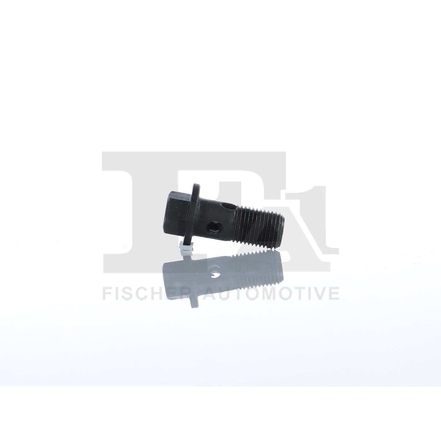 FA1 989-10-011 - Hohlschraube, Lader