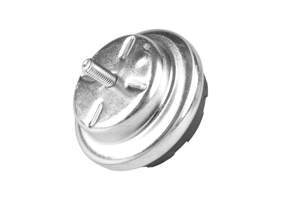 TEDGUM 00326817 - Lagerung, Motor