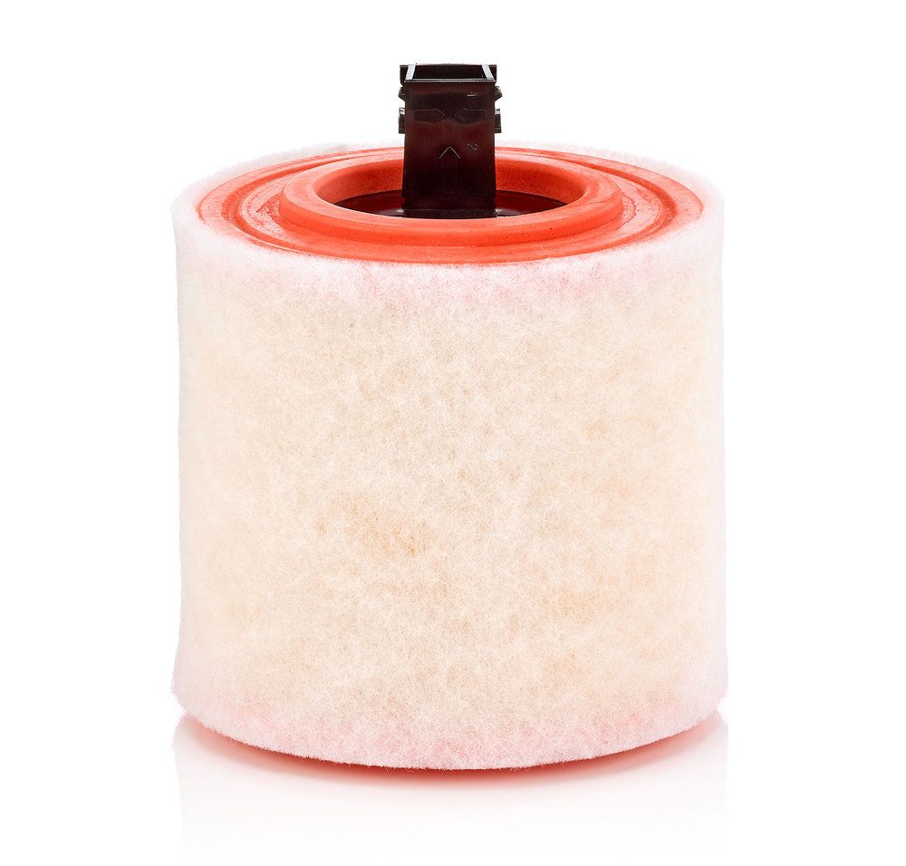 MANN-FILTER C 16 012 - Luftfilter