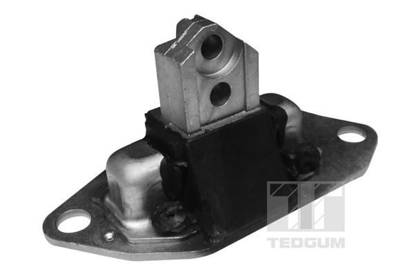 TEDGUM 00745688 - Lagerung, Motor