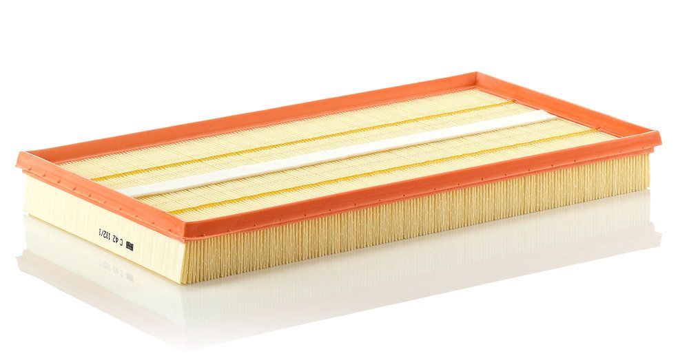 MANN-FILTER C 42 192/1 - Luftfilter