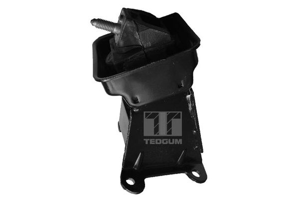 TEDGUM 00223065 - Lagerung, Motor