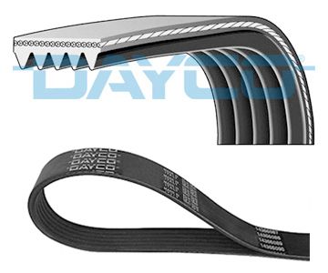DAYCO 5PK1028S - Keilrippenriemen