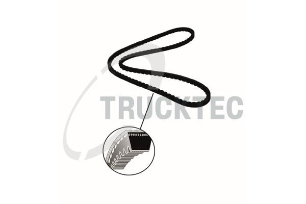 TRUCKTEC AUTOMOTIVE 01.19.043 - Keilriemen