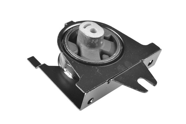 TEDGUM 00135002 - Lagerung, Motor