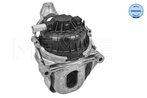 MEYLE 100 199 1014 - Lagerung, Motor