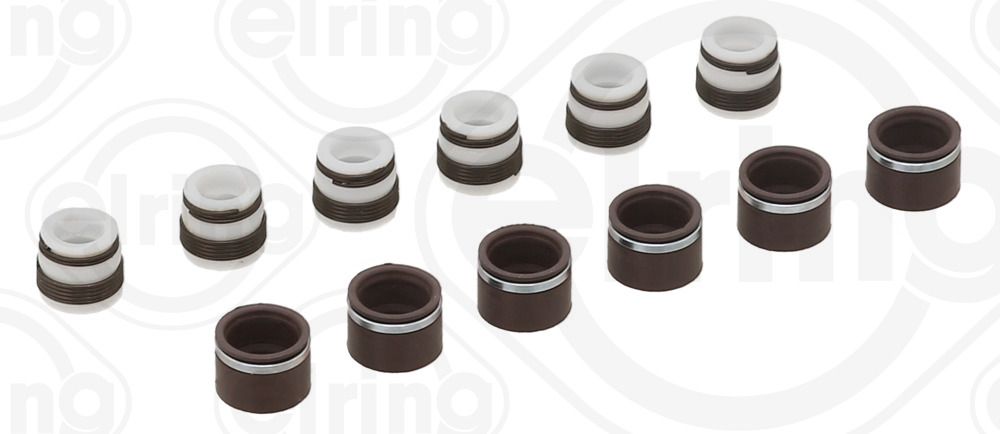ELRING 316.482 - Dichtungssatz, Ventilschaft