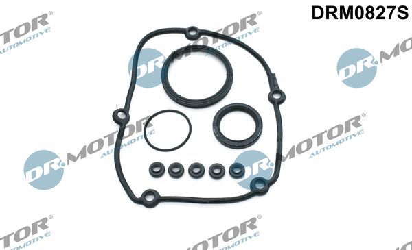 Dr.Motor Automotive DRM0827S - Dichtungssatz, Steuergehäuse