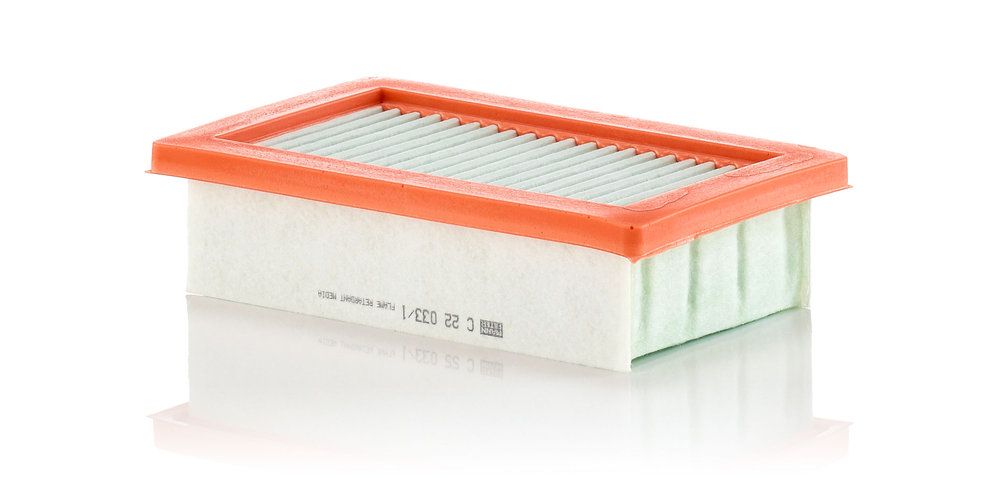 MANN-FILTER C 22 033/1 - Luftfilter