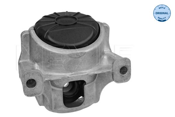 MEYLE 100 199 1001 - Lagerung, Motor