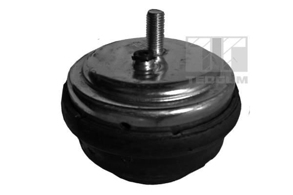 TEDGUM 00080395 - Lagerung, Motor