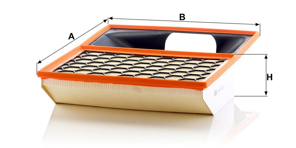 MANN-FILTER C 40 002 - Luftfilter