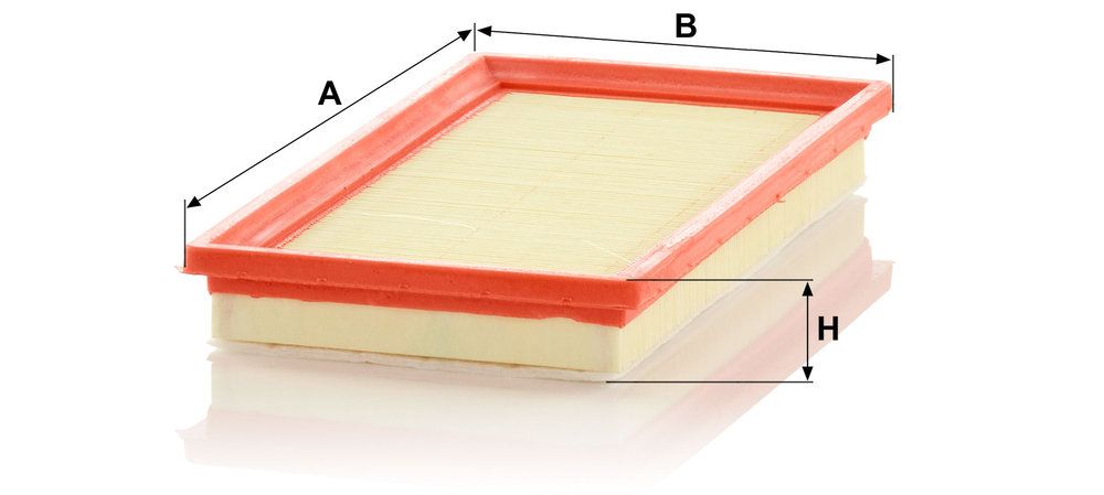 MANN-FILTER C 28 013 - Luftfilter