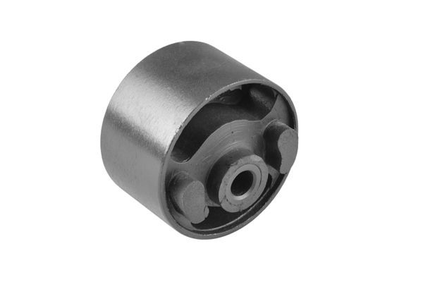 TEDGUM 00462907 - Lagerung, Motor
