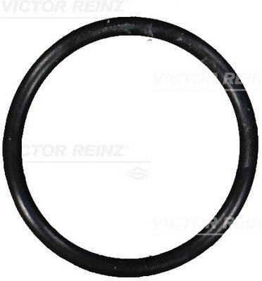 VICTOR REINZ 40-76101-00 - Dichtring