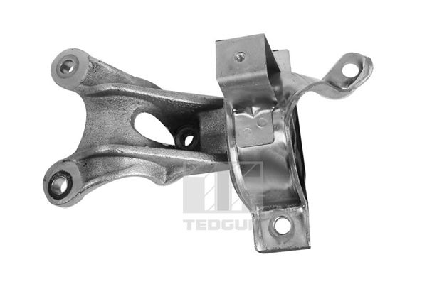 TEDGUM 00219142 - Lagerung, Motor
