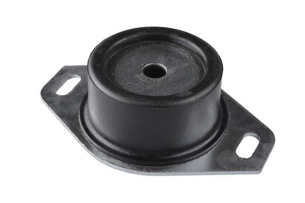 TEDGUM 00214223 - Lagerung, Motor