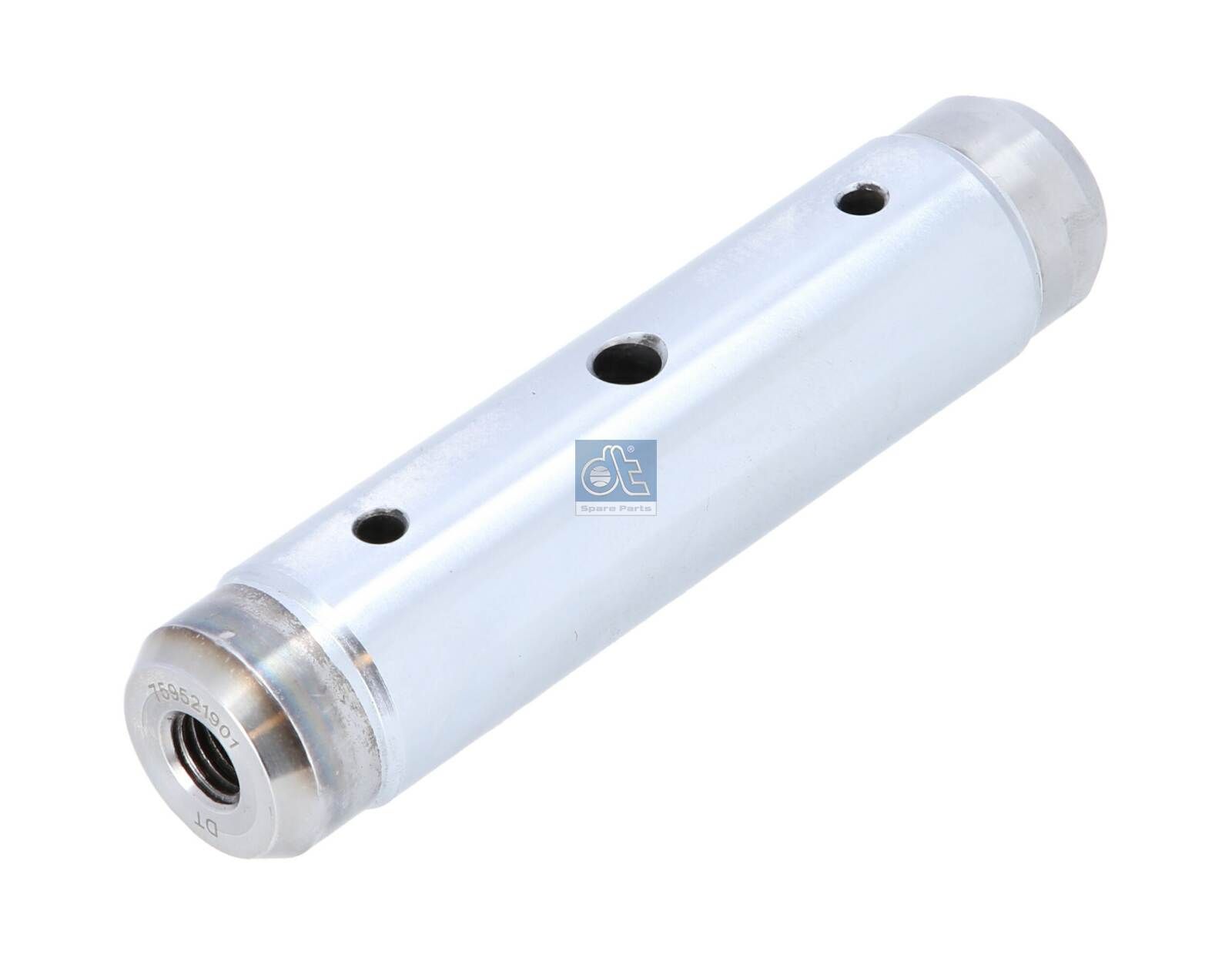 DT Spare Parts 10.13256 - Bolzen, Bremsbackenrolle