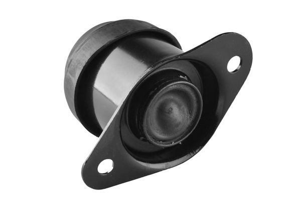 TEDGUM 00260934 - Lagerung, Motor