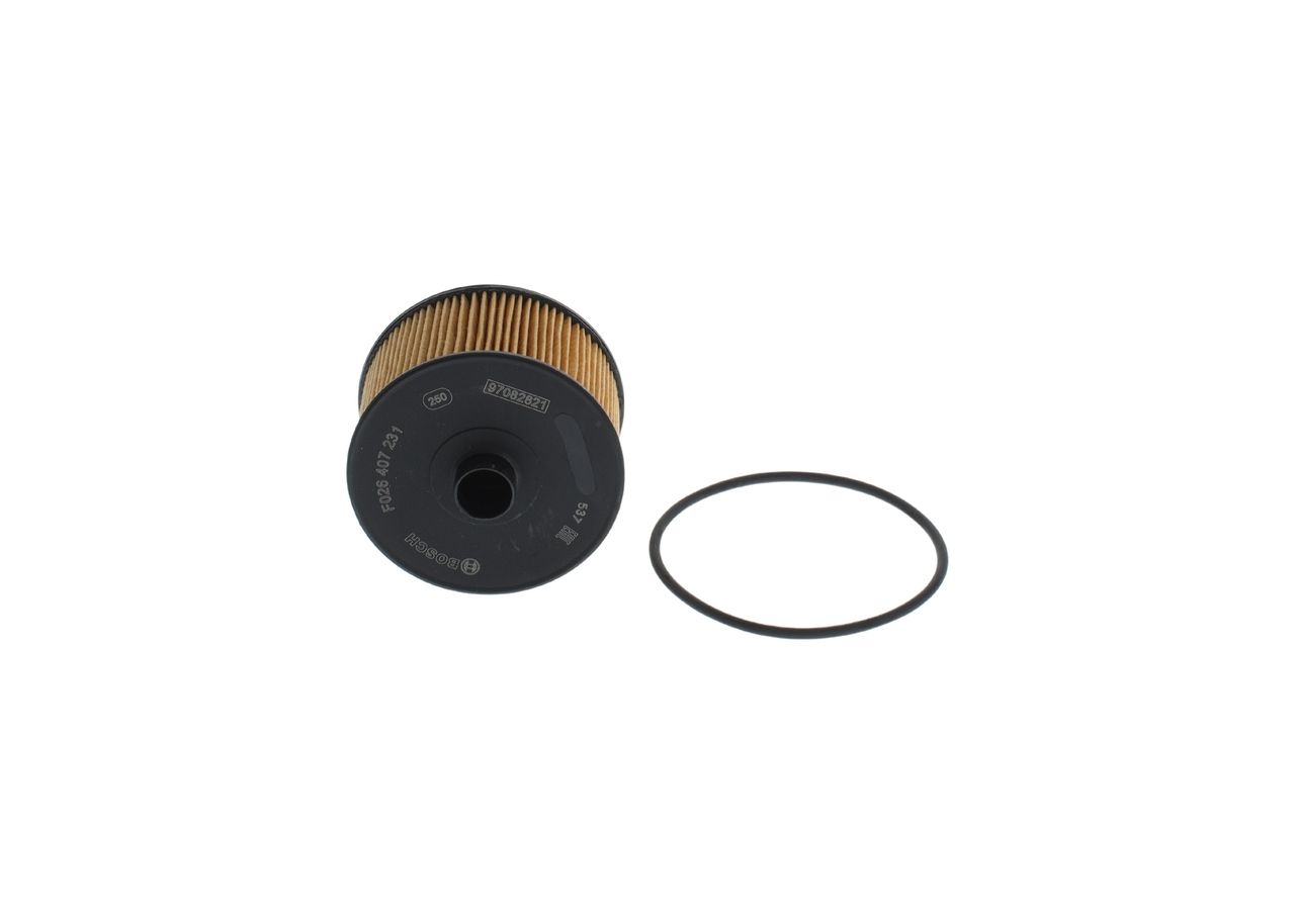 BOSCH F 026 407 231 - Ölfilter