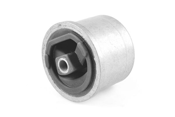 TEDGUM 00749483 - Lagerung, Motor