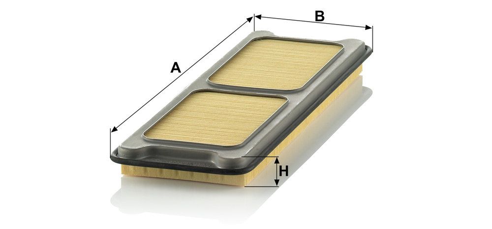 MANN-FILTER C 4373/1 - Luftfilter
