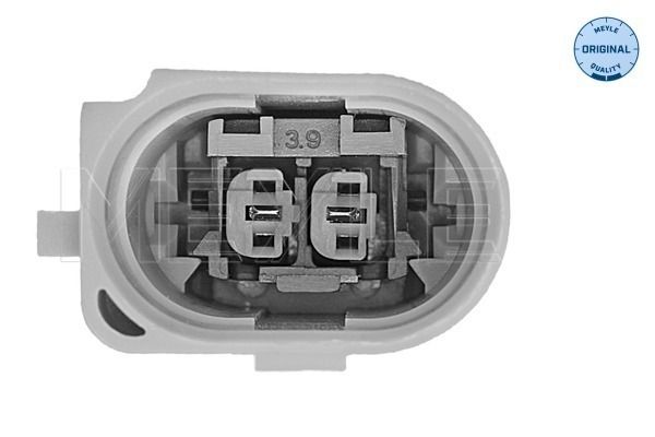 MEYLE 100 199 1405/S - Lagerung, Motor