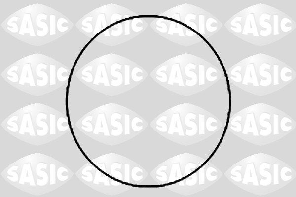 SASIC 1120780 - Dichtungssatz, Zylinderlaufbuchse