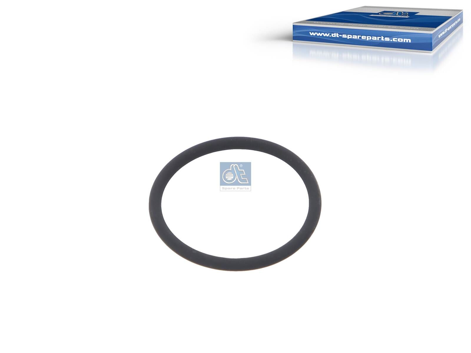DT Spare Parts 10.13171 - Dichtring, Bremsbackenrolle