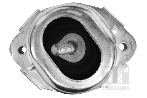 TEDGUM 00088550 - Lagerung, Motor