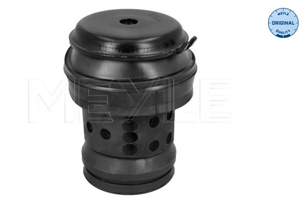 MEYLE 100 199 0036 - Lagerung, Motor