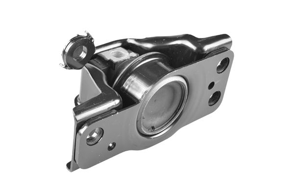 TEDGUM 00463581 - Lagerung, Motor