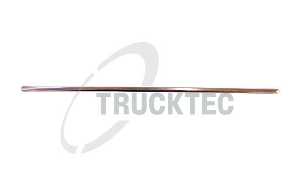 TRUCKTEC AUTOMOTIVE 02.60.432 - Zier-/Schutzleiste, Kühlergitter