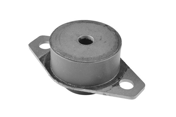 TEDGUM 00261281 - Lagerung, Motor