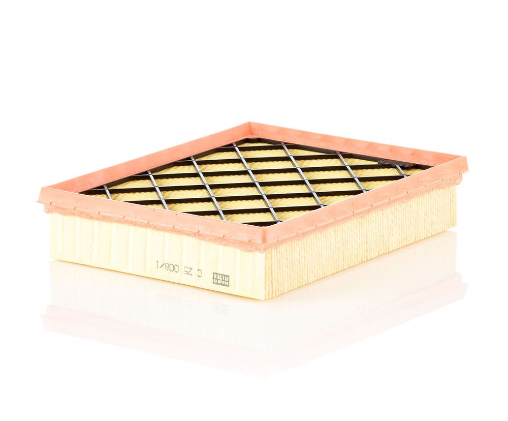 MANN-FILTER C 25 008/1 - Luftfilter