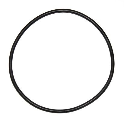 ELRING 000.924 - Dichtring