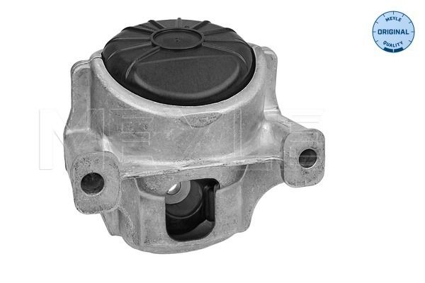 MEYLE 100 199 1007 - Lagerung, Motor