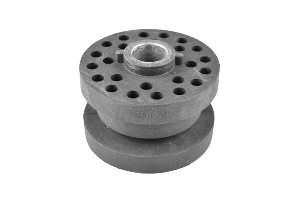 TEDGUM 00224172 - Lagerung, Motor