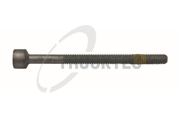 TRUCKTEC AUTOMOTIVE 02.13.101 - Schraube, Einspritzdüsenhalter