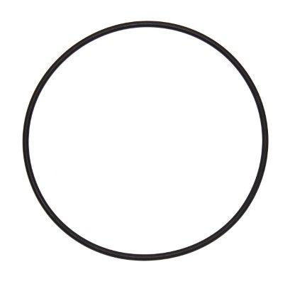 ELRING 126.010 - Dichtring