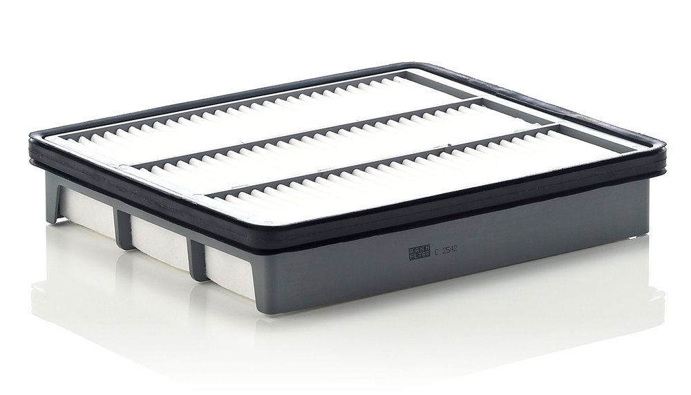 MANN-FILTER C 2542 - Luftfilter