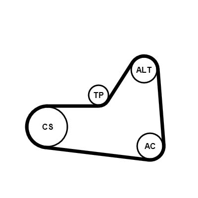 CONTINENTAL CTAM 6PK1070K1 - Keilrippenriemensatz