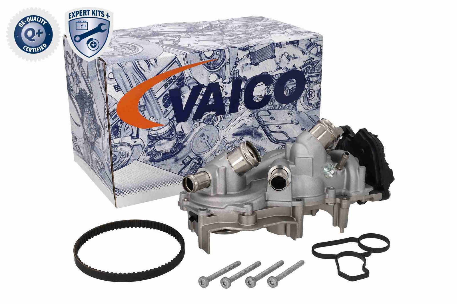 VAICO V10-50114 - Wasserpumpe + Zahnriemensatz