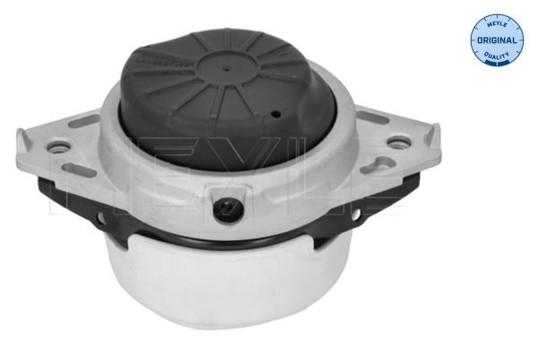 MEYLE 014 024 0233 - Lagerung, Motor