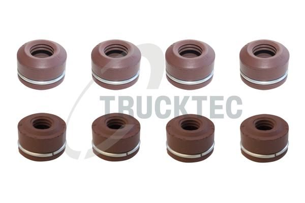 TRUCKTEC AUTOMOTIVE 02.43.006 - Dichtungssatz, Ventilschaft