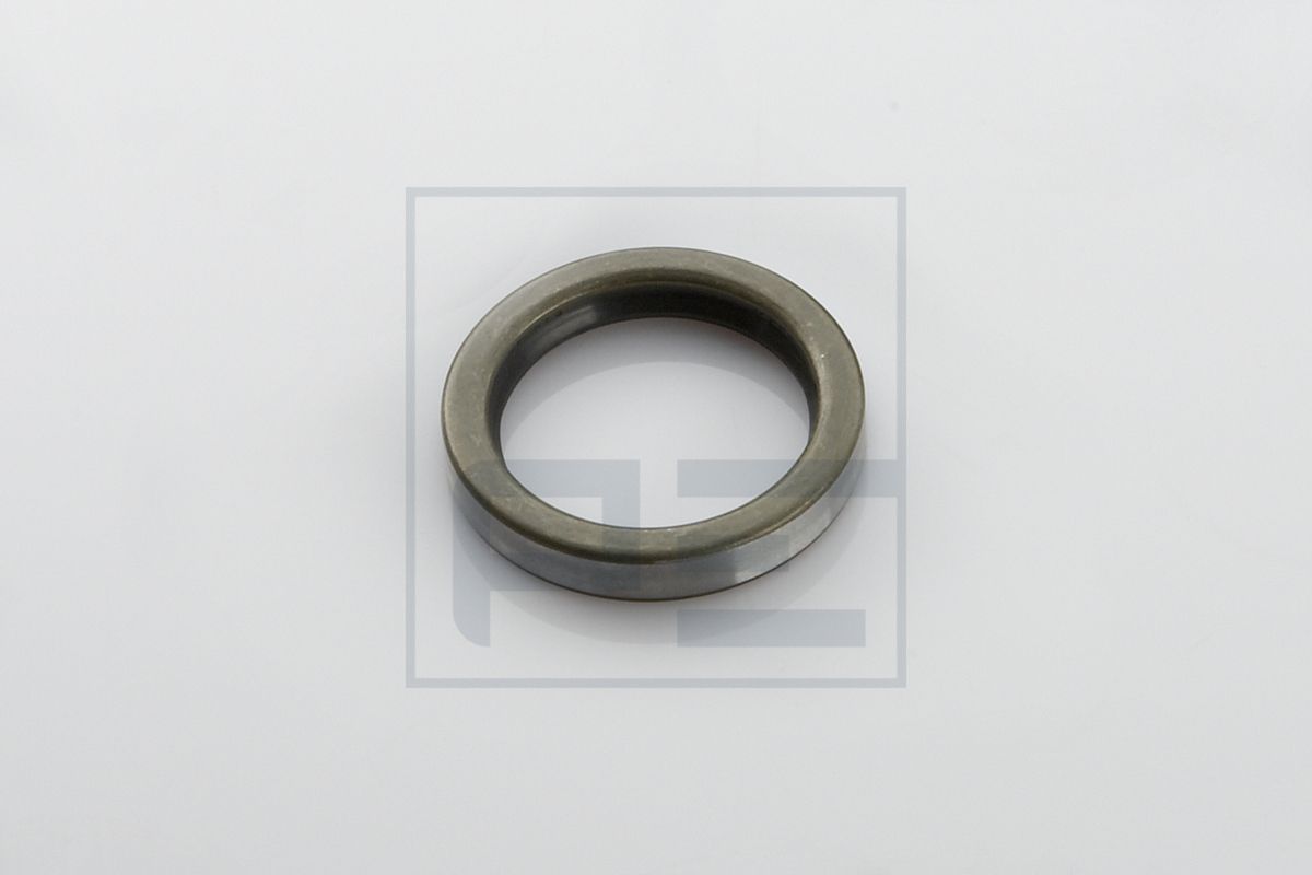 PE Automotive 016.173-00A - Wellendichtring, Bremsnockenwelle