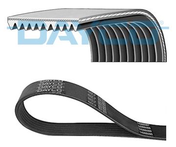 DAYCO 10PK1042HD - Keilrippenriemen